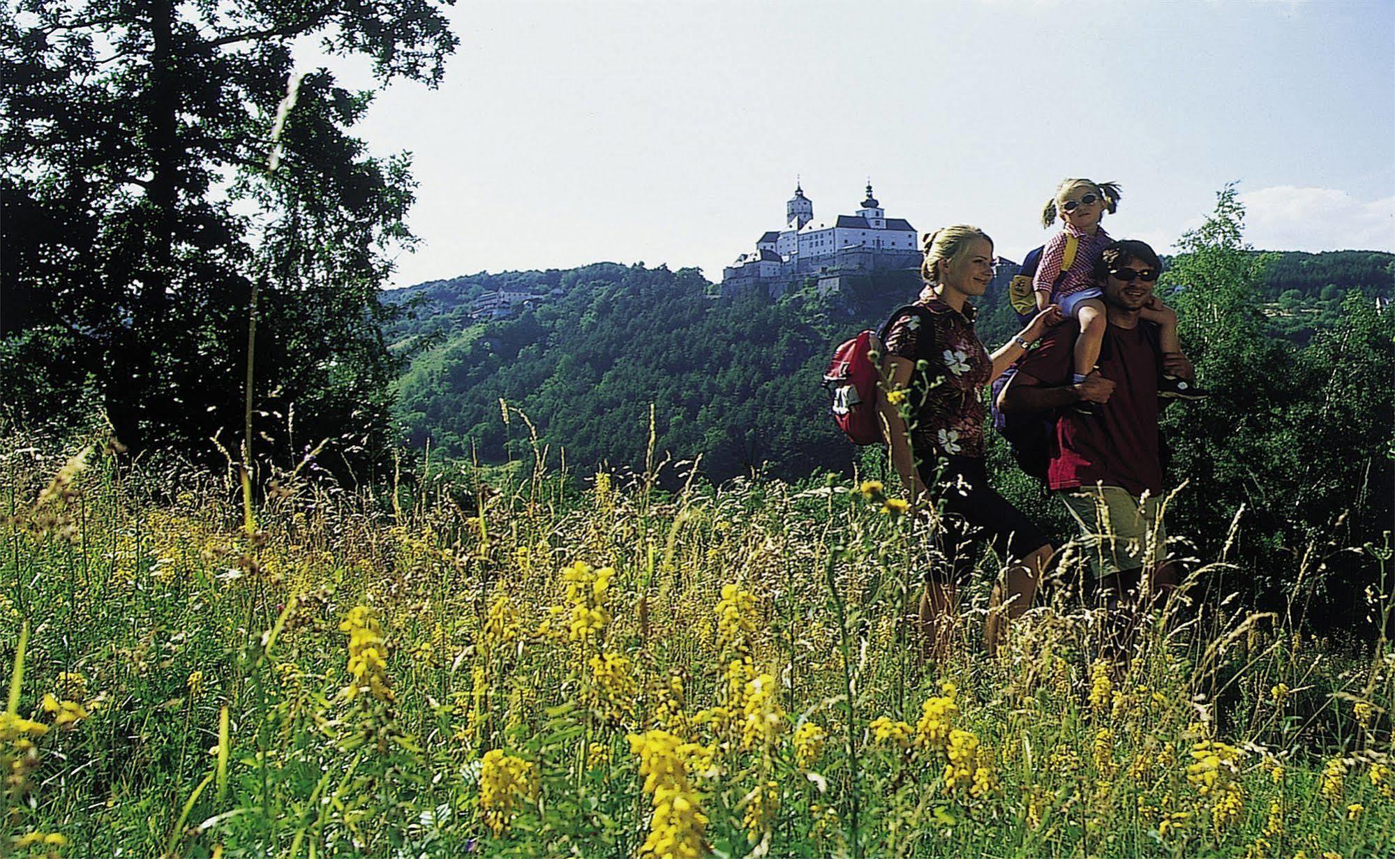 Beerenhof Wiesen Mattersburg Eksteriør billede